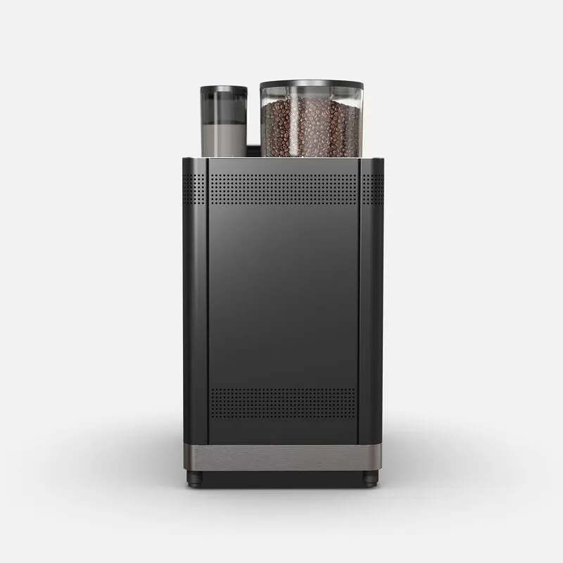 Rückansicht der Rex-Royal S1